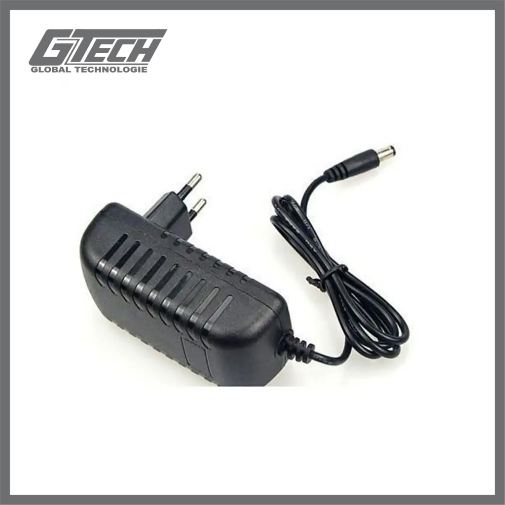 CHARGEUR POUR CAMÉRA DE VIDÉO SURVEILLANCE 12V